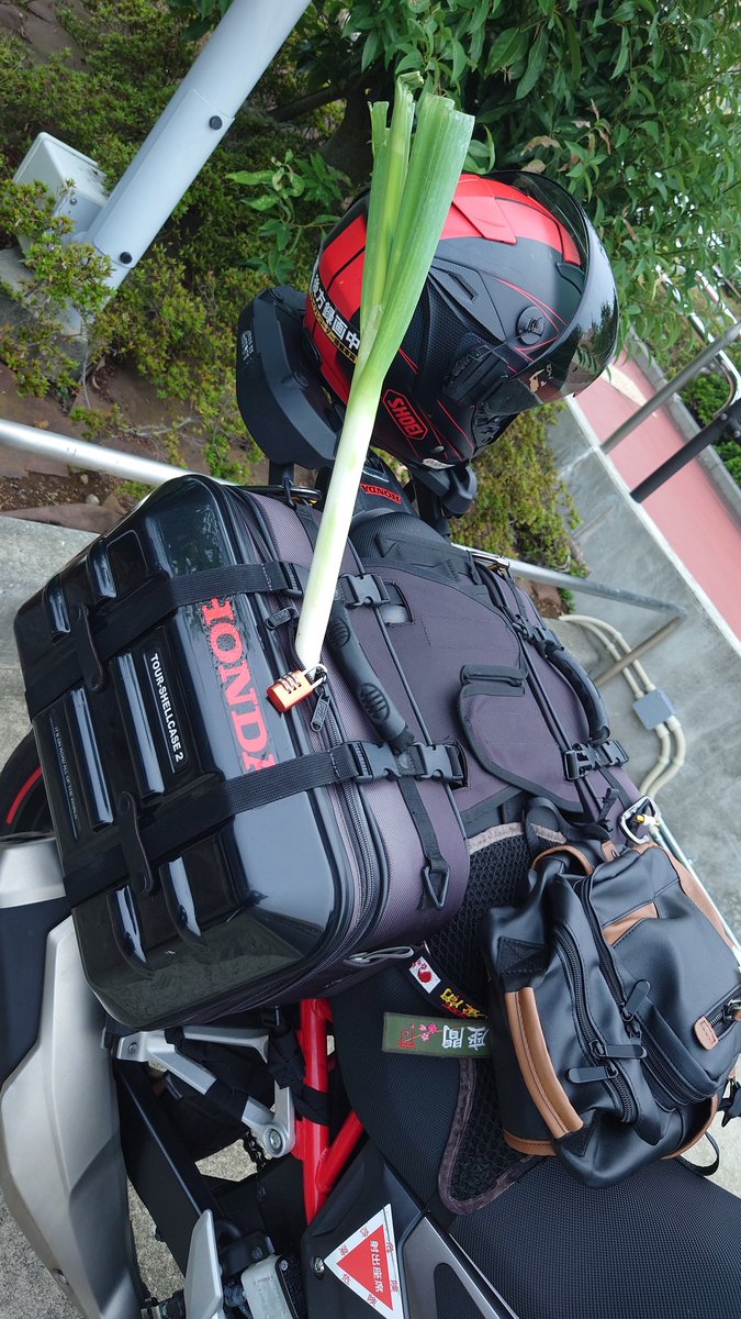 GIRO ラクダさま GIRO ラクダさま GIRO OFFICIAL SITE -CRUZ-