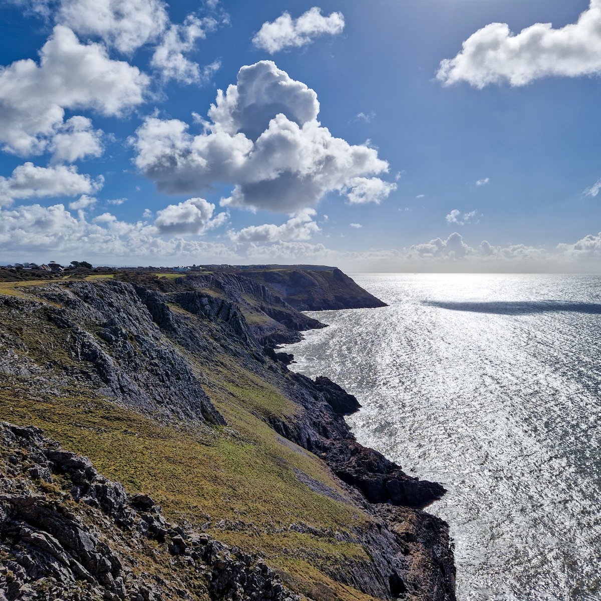 KankaMarcin's tweet image. Vibrant blues and bright yellows at Three Cliffs Bay! 💙💛 The iconic limestone stacks and the endless ocean view make this one of the UK’s best beaches. Nature at its finest. 🌊

marcinkanka2018.myportfolio.com/work

#ThreeCliffs #Coast #BeachLife #WalesAdventures #Landscape #UKBeaches #Art