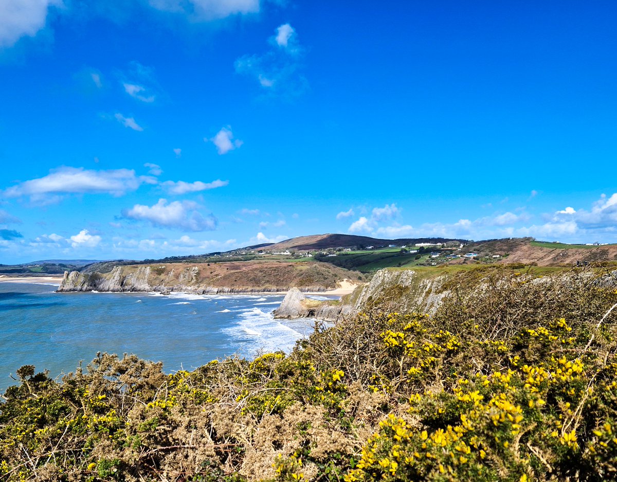 KankaMarcin's tweet image. Vibrant blues and bright yellows at Three Cliffs Bay! 💙💛 The iconic limestone stacks and the endless ocean view make this one of the UK’s best beaches. Nature at its finest. 🌊

marcinkanka2018.myportfolio.com/work

#ThreeCliffs #Coast #BeachLife #WalesAdventures #Landscape #UKBeaches #Art