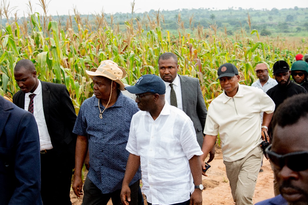 "It is a practical farm by my administration that delivers on practical governance."~ <a href="/m_akpakomiza/">Senator Monday Okpebholo</a>  remarked during the inspection of one of the three mega farms project being built by the <a href="/EdoStateGovt/">Edo State Government</a>
Across 3 SD. 
Note!! Obaseki spent 23B in So be farm with Zero yields