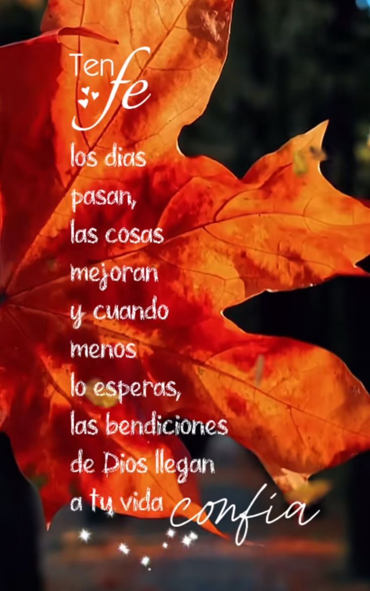 Siempre confíen en el Señor 🙏.
Buenos días a tod@s, excelente día 😇😃🤗.