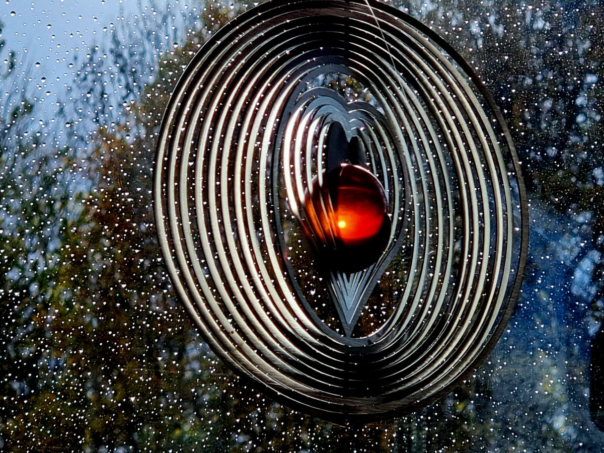 Gartenglück (@die_gritti) on Twitter photo 