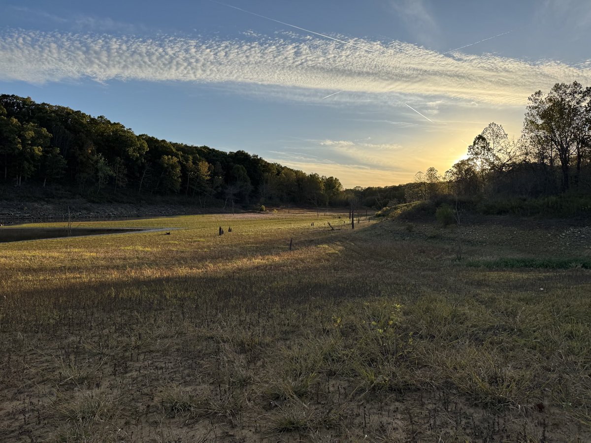 oss_kc's tweet image. #GoodMorning