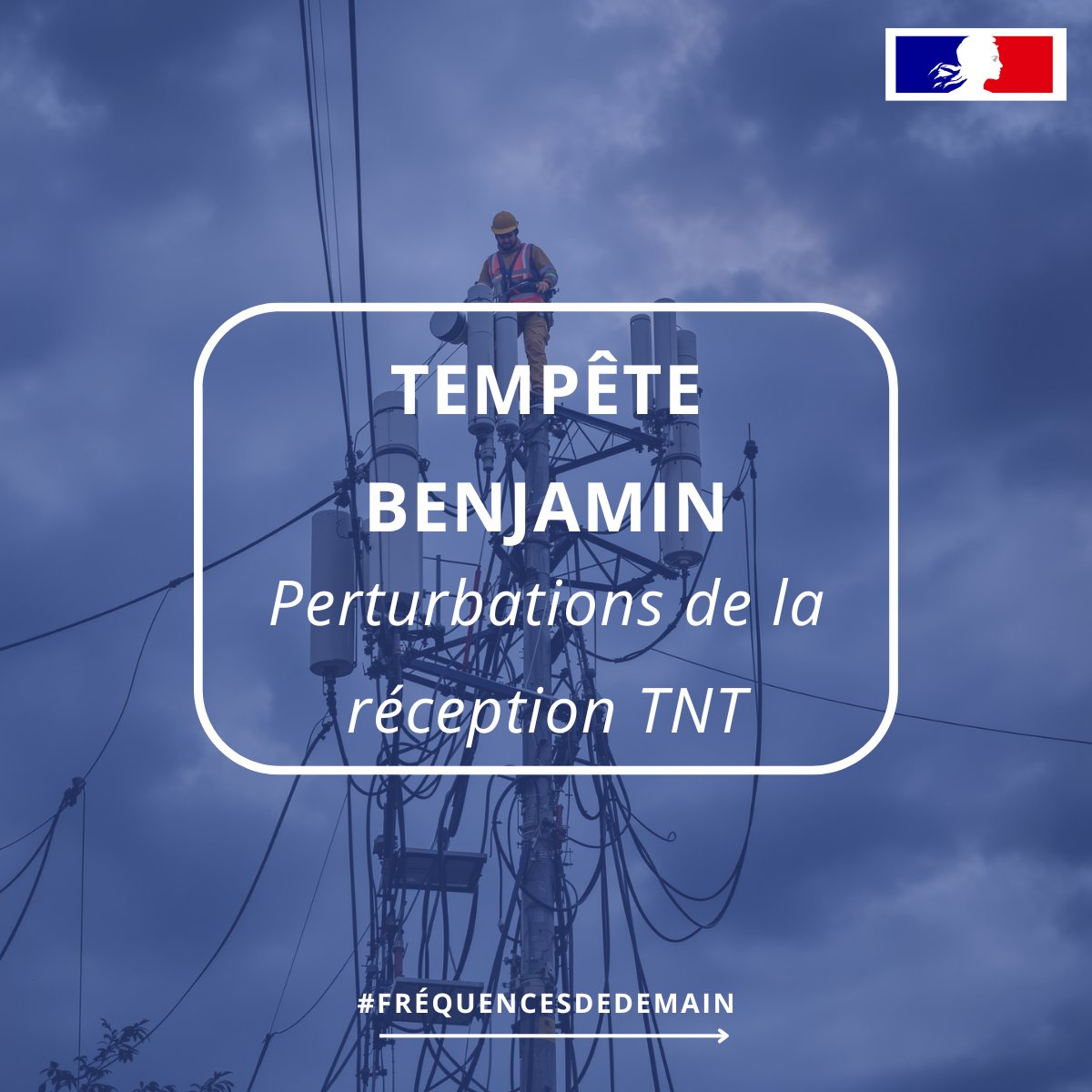 Recevoir la TNT 📺 tweet media