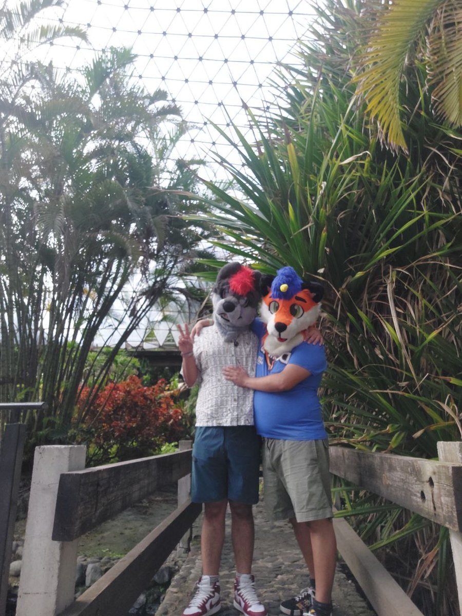 mexi_fox's tweet photo. Había olvidado subir esto
Entonces es para el #FursuitFriday 
Con mi lobito hermoso @EthanWolf475 ❤️❤️❤️❤️❤️❤️❤️❤️❤️❤️❤️❤️❤️ https://t.co/BaYAAcI1PH
