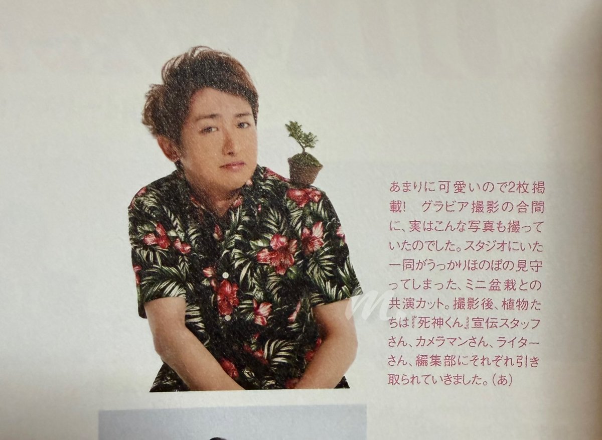 o0TQ2cUDmiflEGL's tweet photo. これは"ｽﾀｼﾞｵにいた一同がうっかりほのぼの見守ってしまった"ｵ –ﾉｻﾝ
因みに"可愛い"という理由で撮影ｴﾋﾟｿｰﾄﾞﾍﾟｰｼﾞに特別写真２枚掲載されたという
事実をお伝えしておきます https://t.co/6VGJVPRAOd