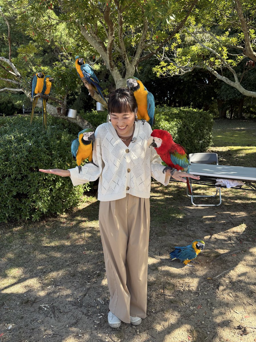 saetakeda's tweet image. #海の中道海浜公園　の秋桜が見頃を迎えています🌸
約100万本の秋桜、とにかく美しい😊
圧巻です！

そして今日はインコさんとも戯れました🦜
楽しかった〜✨✨

「うみなか＊はなまつり」は11月9日まで！！

#タダイマ
#RKB