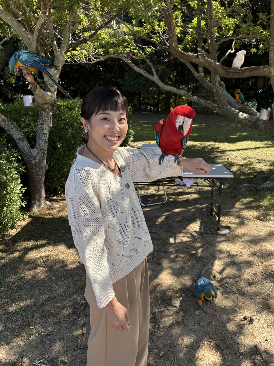 saetakeda's tweet image. #海の中道海浜公園　の秋桜が見頃を迎えています🌸
約100万本の秋桜、とにかく美しい😊
圧巻です！

そして今日はインコさんとも戯れました🦜
楽しかった〜✨✨

「うみなか＊はなまつり」は11月9日まで！！

#タダイマ
#RKB