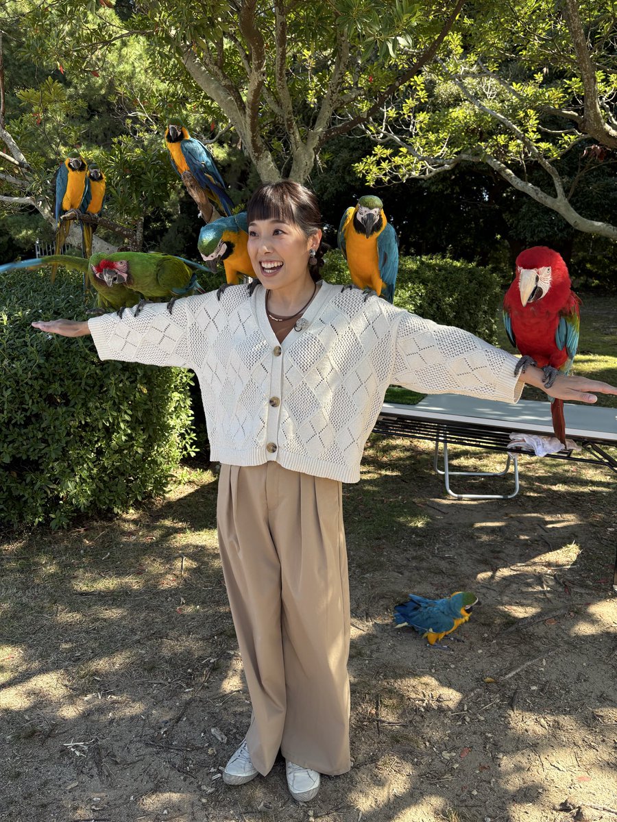 saetakeda's tweet image. #海の中道海浜公園　の秋桜が見頃を迎えています🌸
約100万本の秋桜、とにかく美しい😊
圧巻です！

そして今日はインコさんとも戯れました🦜
楽しかった〜✨✨

「うみなか＊はなまつり」は11月9日まで！！

#タダイマ
#RKB