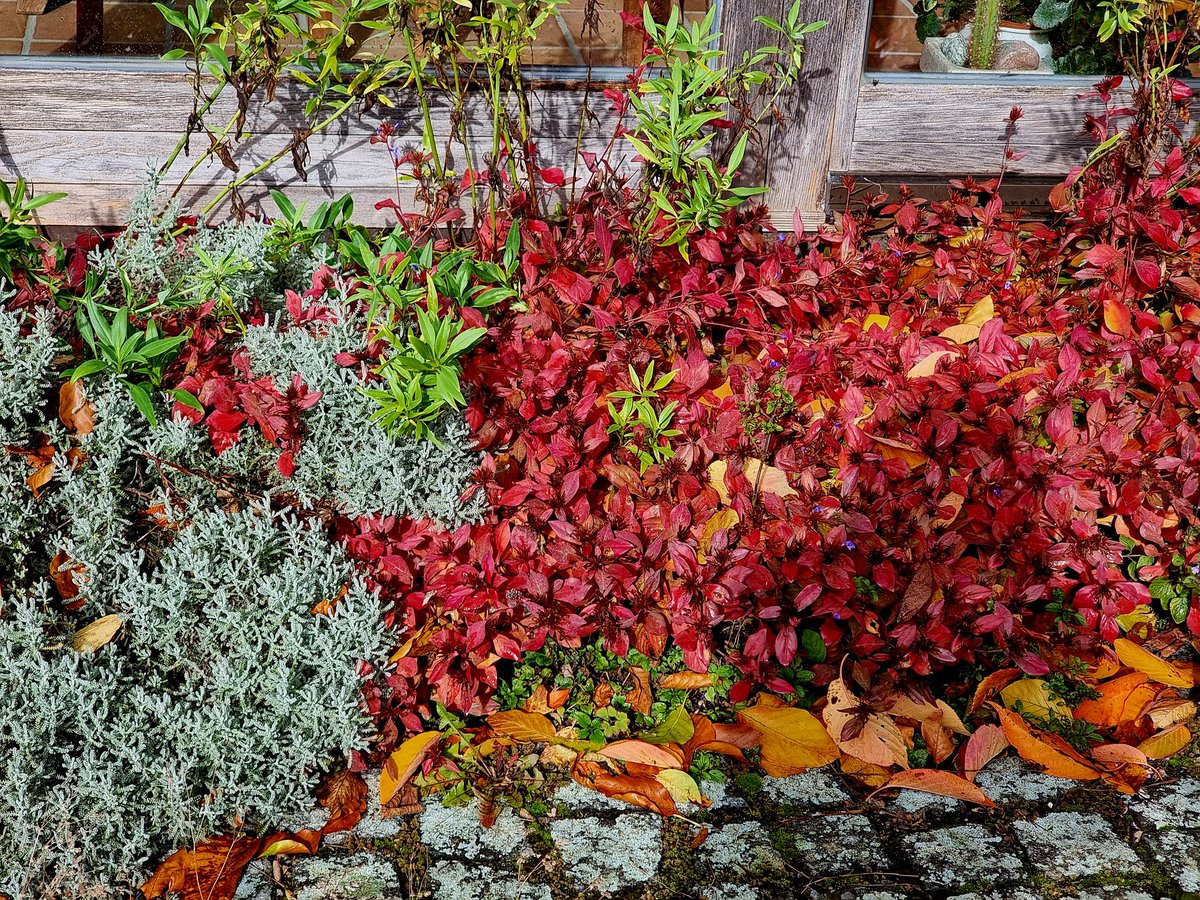 Bunte Teppiche  allüberall