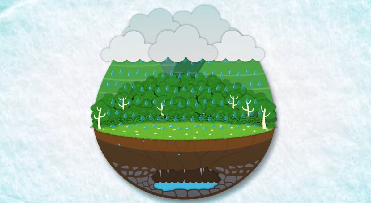 💧 Guess this 👇

⌛ How long do you think a drop of water stays underground before it ends up in your bottle? A few days? Weeks?
You might be surprised: it can take years, even decades!
After a long journey through layers of rock and soil, that same drop finally reaches your