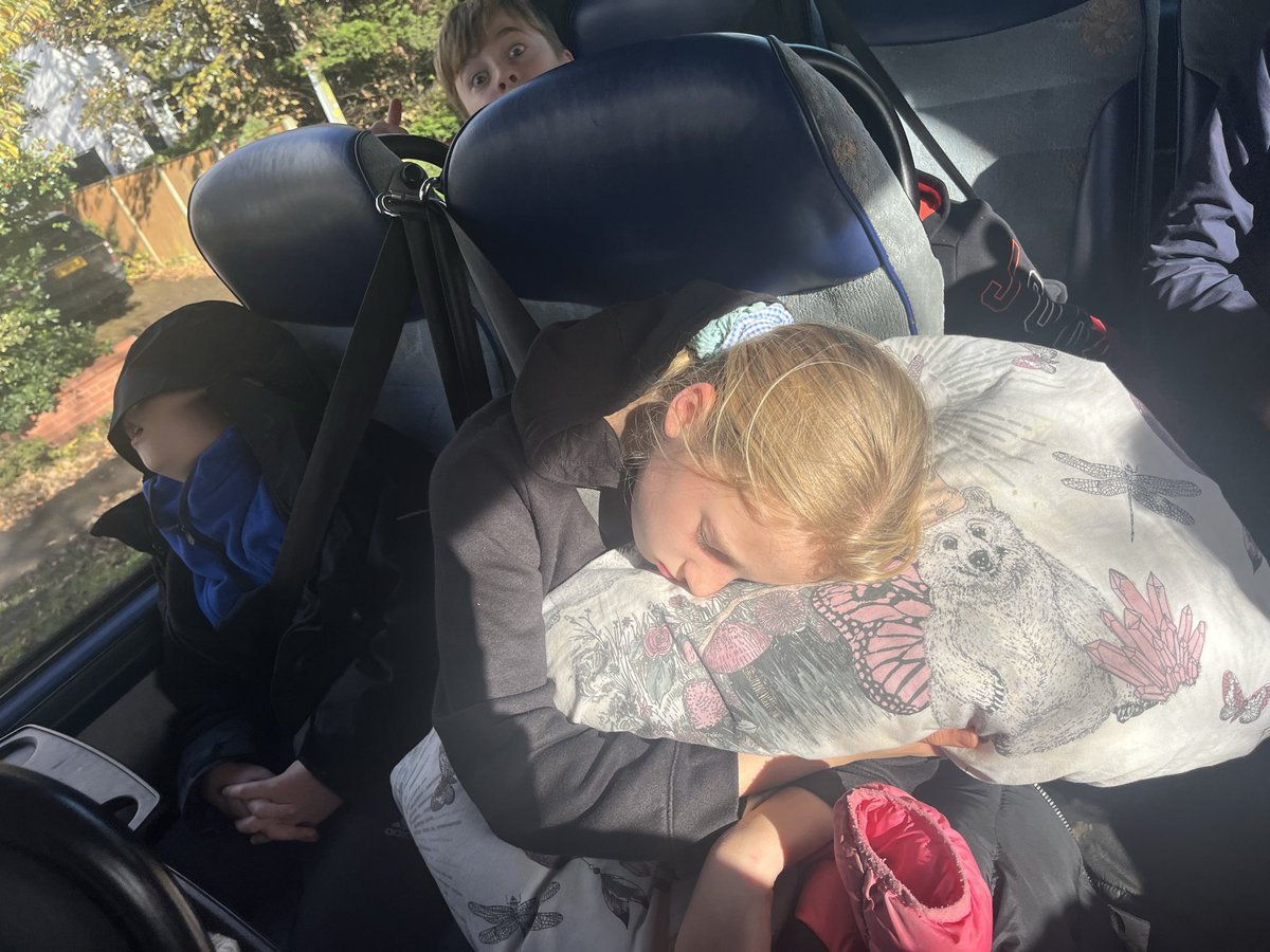 Layton Trips tweet media