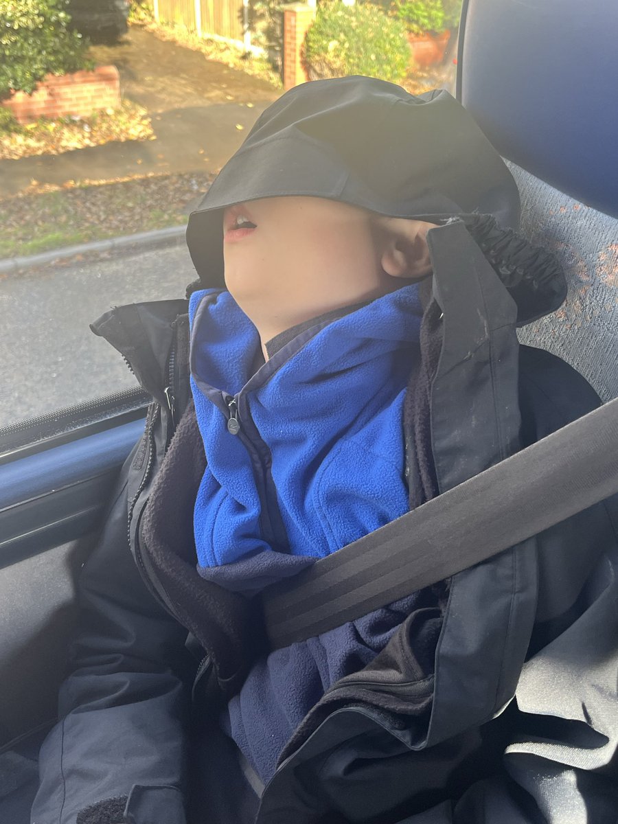 Layton Trips tweet media