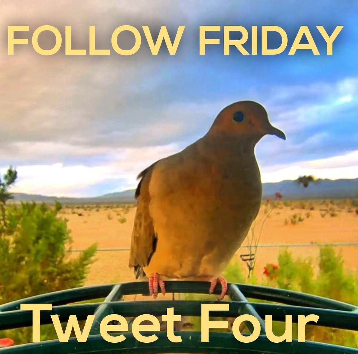 Tweet media one