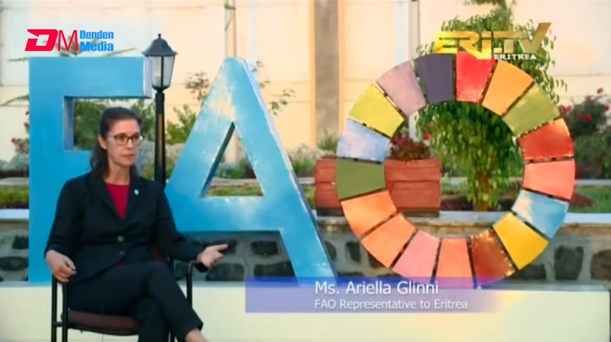 Featured on EriTV, Ms. Ariella Glinni, the FAO Rep. to #Eritrea, highlighted WFD 2025 &amp; FAO@80, reaffirming readiness to advance <a href="/FAOEritrea/">FAO Eritrea</a> 's partnership with the GoSE🇪🇷 &amp; commitment to ending hunger by 2030.
ቃለ-መሕትት ሚስ. ኣሬላ ግሊኒ ምስ ኤሪ📺bit.ly/3WUIFLI