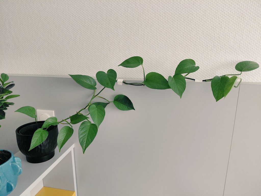 Cazorpp's tweet image. Elle a bien grandi 🥹🥹🥹