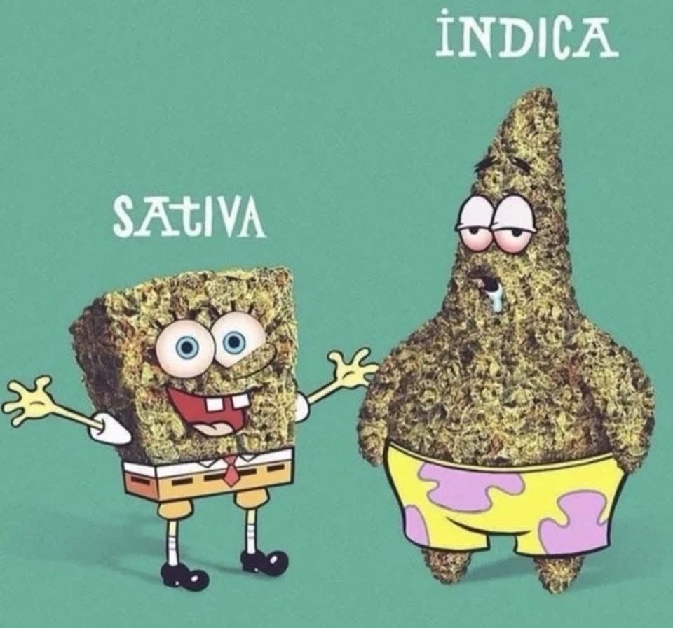 KushWorld tweet media