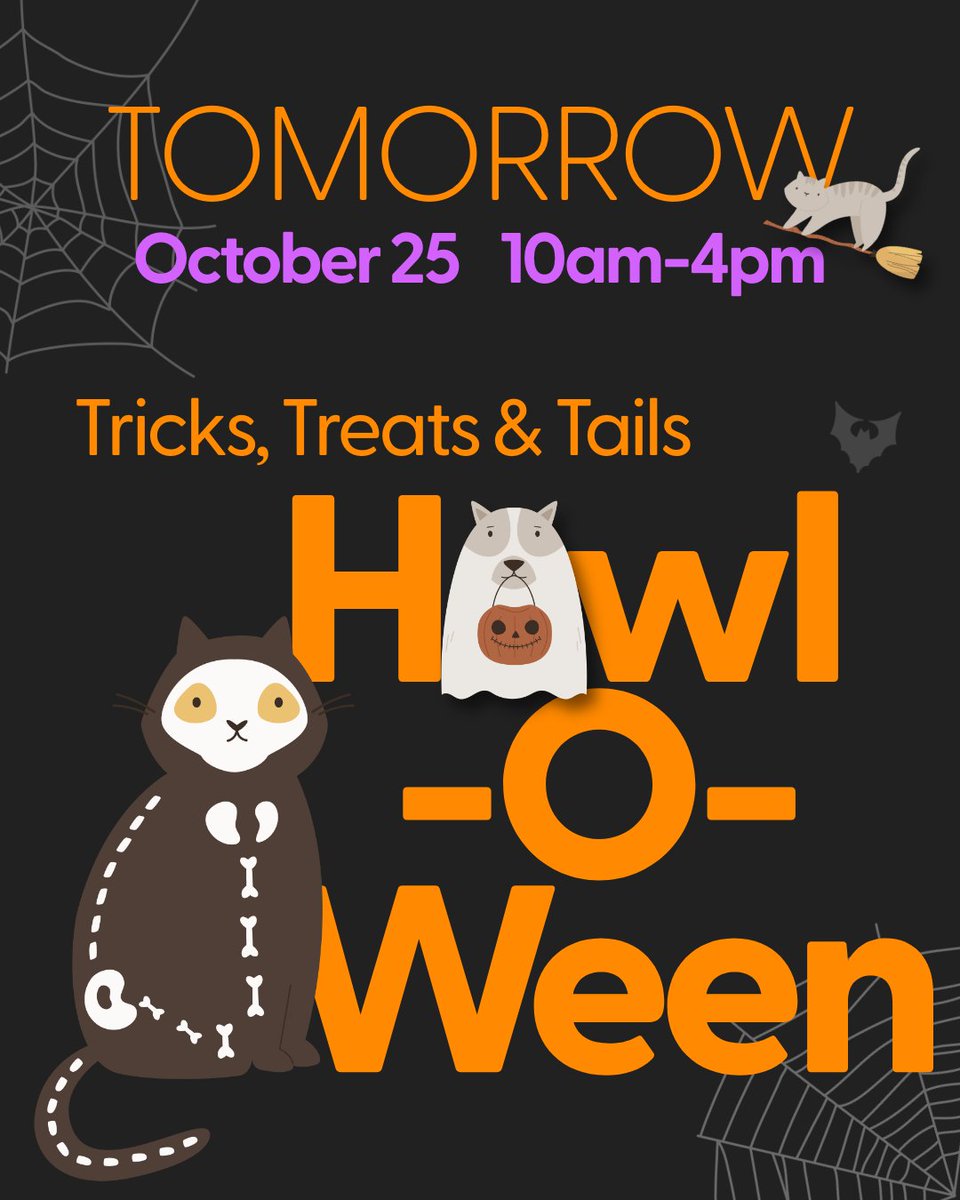 HSGNiagara's tweet image. 👻 Tomorrow’s the day! 
 Join us for Howl-O-Ween at HSGN 🎃 
 📅 Oct 25 | 10–4 
 🎃 Pumpkins • Food trucks • IceDogs mascot Bones • Pet photos • Raffles
 🐾 Don’t miss this spooky day of fun! 

hsgn.ca/events/howl-o-…

#HowlOWeen #HSGN #NiagaraPets #SpookySeason #PetEvent