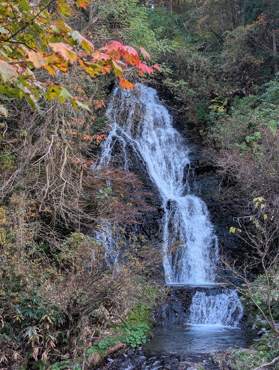 Nozomi19791015's tweet image. #康楽館 #劇団ゆめいろ 
残り4日間7公演！

週末は天気悪いみたいだから晴れてるうちに…と、終演後に七滝と十和田湖に。
前に来た時より色づいてた🍁

満点の星空もこれで見納めかぁ…なんて、ちょっぴりおセンチな気分で寮の前で夜空見上げながら煙草吸ってるただ今の気温は2℃。
煙も息も白い😂