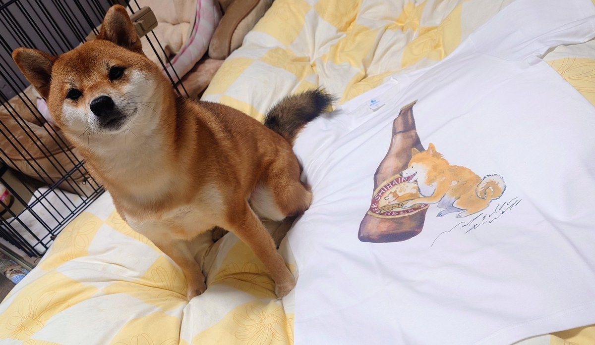 いぬページ キュアピンフ on X