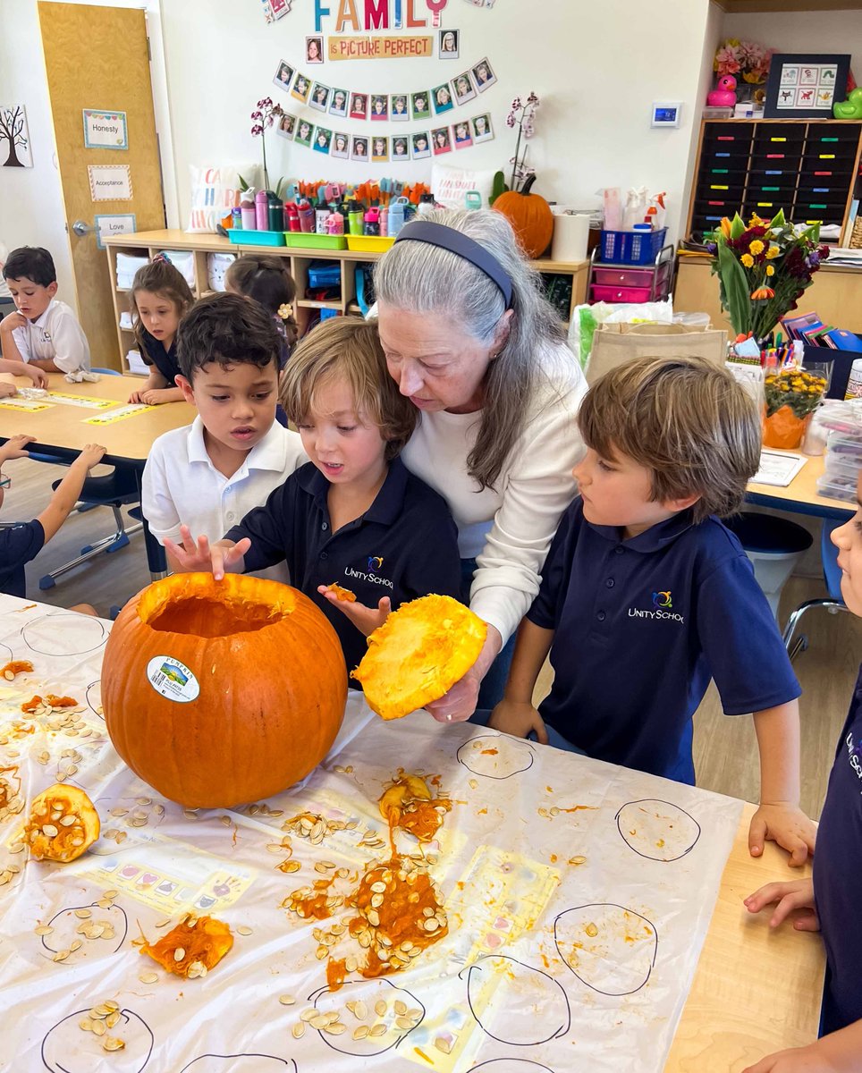 UnityDelray's tweet image. Kindergarten is getting their hands dirty learning all about pumpkins! 🎃🍁 Exploring, counting, and discovering how pumpkins grow — learning has never been so hands-on! 💛🐎 #UnitySchoolFL #MustangPride #FallFun #JoyOfLearning