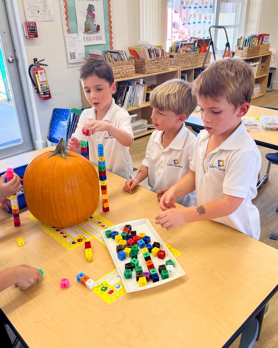 UnityDelray's tweet image. Kindergarten is getting their hands dirty learning all about pumpkins! 🎃🍁 Exploring, counting, and discovering how pumpkins grow — learning has never been so hands-on! 💛🐎 #UnitySchoolFL #MustangPride #FallFun #JoyOfLearning