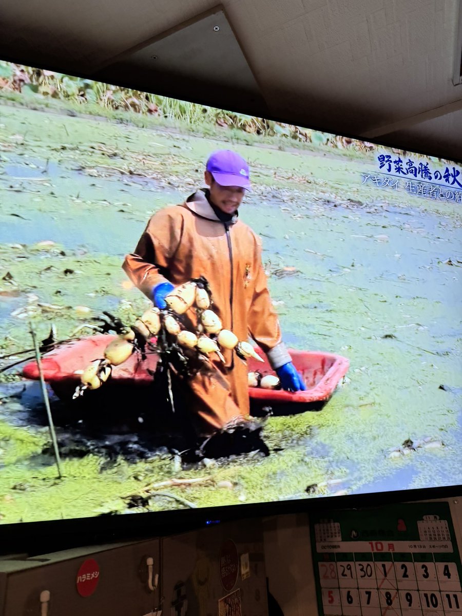 【よこちん】 OEM part number 9824626780, 9831682780*, 9831682580* | P-1034K