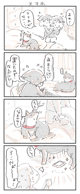 #4コマ漫画 #柴犬
スマホ 