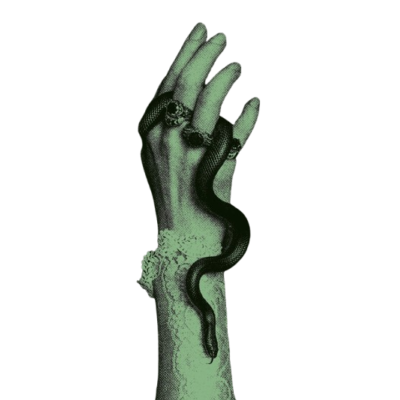 serpentacies's tweet photo. https://t.co/o9BmMqeP3B