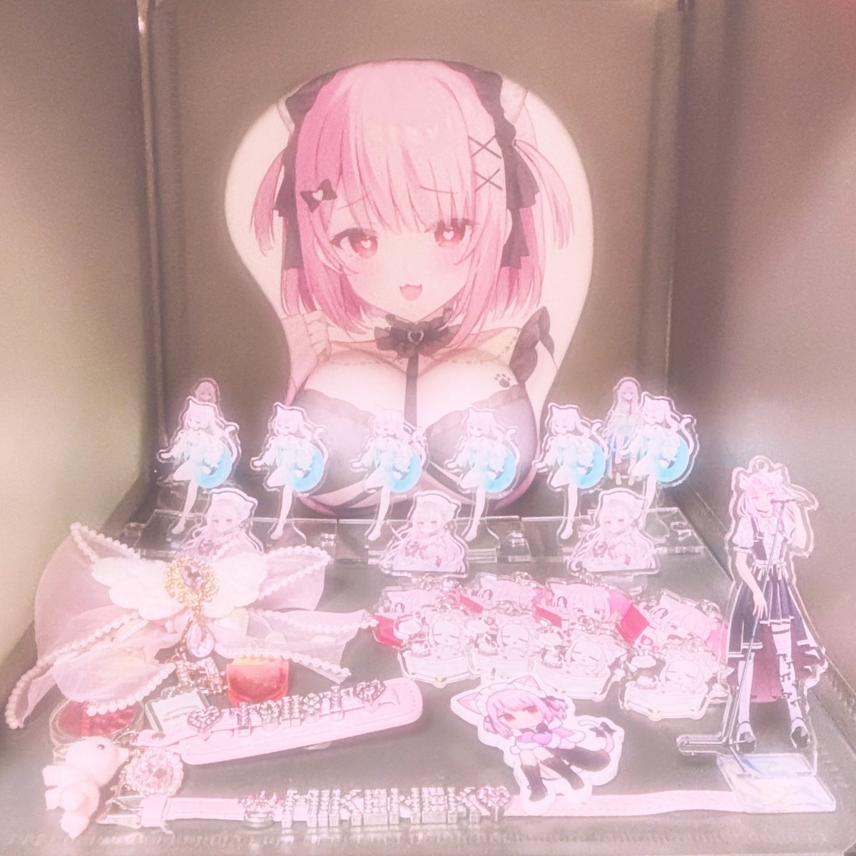 *.･𐙚棚がみけちゃんで満ちてて幸せ⌁♡̴⸝⸝
#みけちゃん