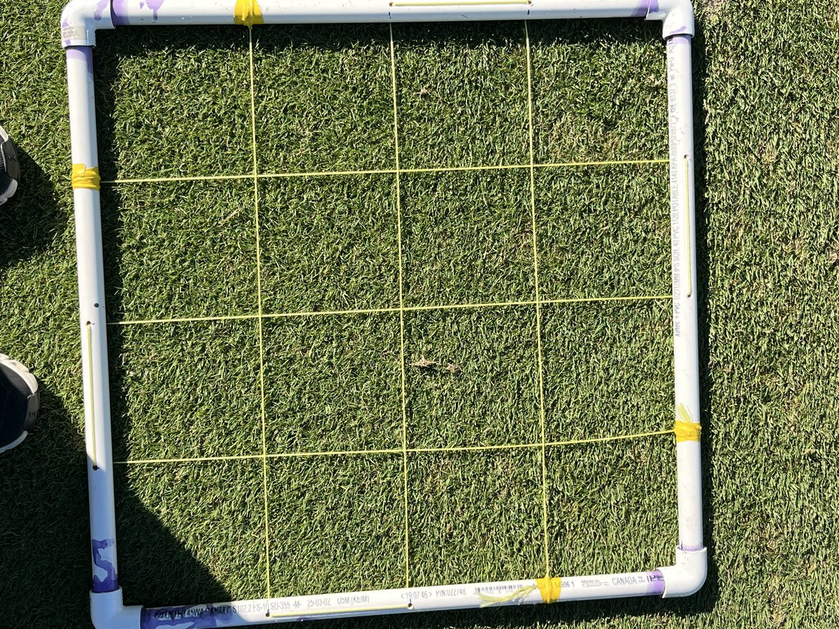 <a href="/SyngentaTurfCA/">SyngentaTurfCanada</a> It was a strong year for $spot in the Greater Toronto Area.  Lots of learning as to what worked and what didn’t work on a 21-D preventative basis, using 🇨🇦 labelled chemistries.  Looking forward to opportunities to share these stories through 2026.