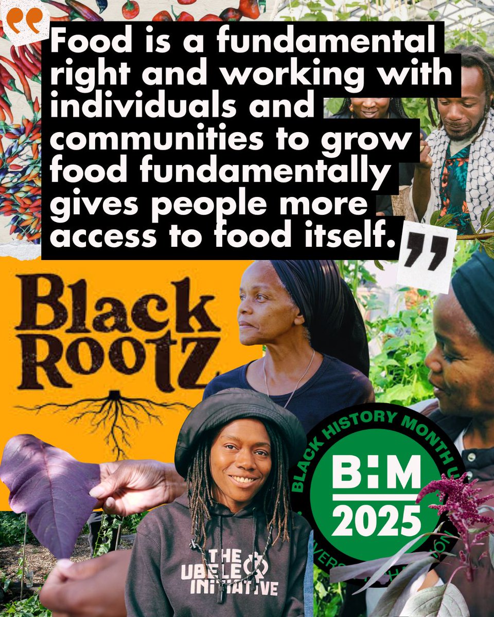 be_enriched's tweet image. 🌱✊🏾 Celebrating @blackrootz__ this #BlackHistoryMonth! The UK’s first Black-led food growing enterprise, working for food sovereignty &amp;amp; justice for all POC communities. 🌿 

Founded by @ubeleinitiative, thank you for all that you do!

#BHM2025