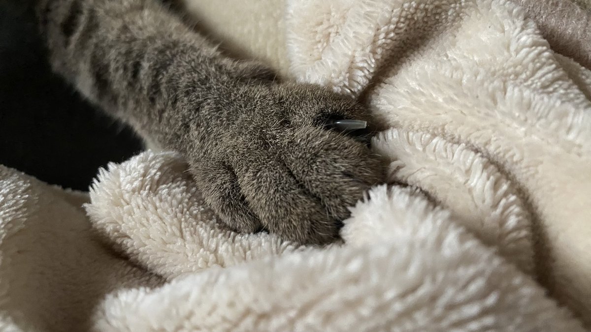 ゆっくりⴲ on X