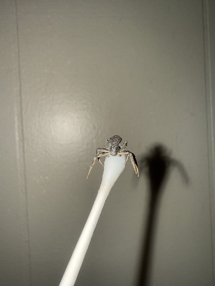 kait 🐞 tweet media