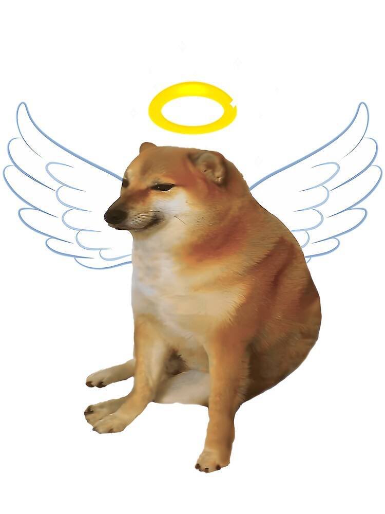 balltzeonerc20's tweet image. Our angel in heaven.  @Balltzehk