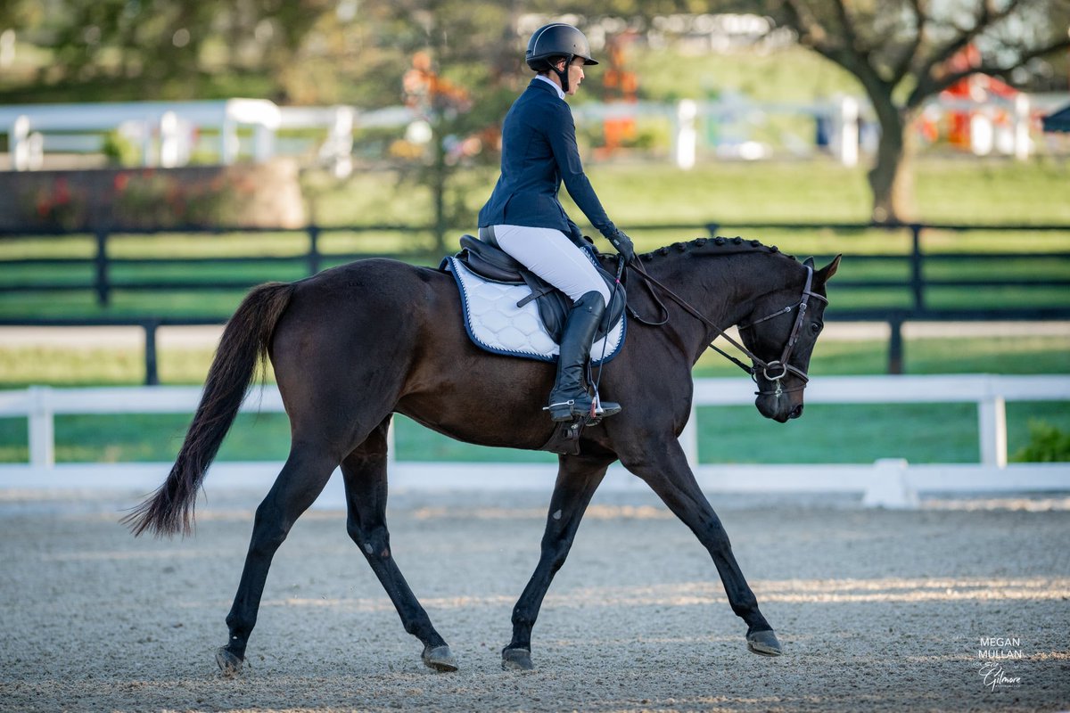 GSW Happy Farm was an absolute 🌟 in the <a href="/RRP_TBMakeover/">Retired Racehorse Project</a>, making the finals in Competitive Trail &amp; Eventing finishing 3rd (2nd Amateur) &amp; 8th (4th Amateur) in divisions of 40+ horses! In the finals he was just as perfect, finishing 6th in CT &amp; 7th in Eventing! SO proud of him! 🩷