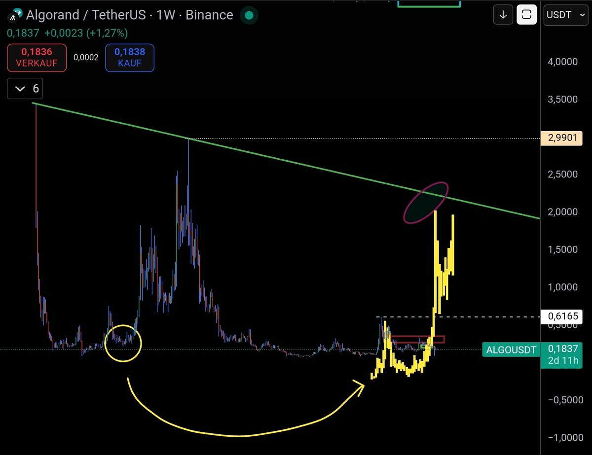 CryptoAvon2626's tweet image. Wäre Cool 😄🤌 #ALGO #algorand 
November 2020 ging Algo von 0,23$ steil bis 1,80$ 
November 2025 ging Algo von 0,18$ steil bis...??? 😄🤷🏼
