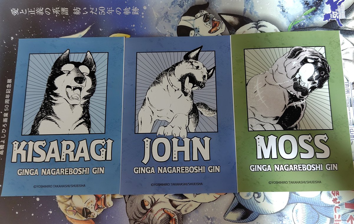 手ぬぐい 高橋よしひろ 高橋よしひろ先生 手ぬぐい POP UP SHOP限定商品】高橋よしひろ