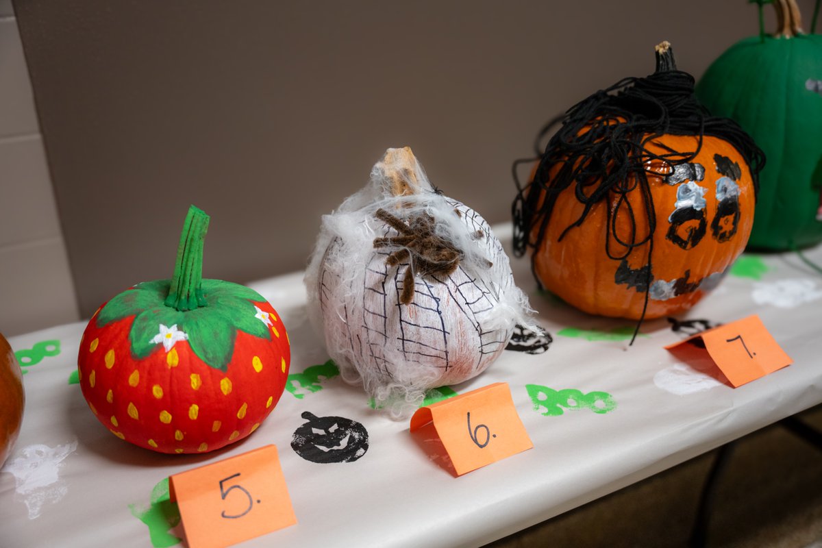 ISD347's tweet image. 🎃 The Focus House students got into the Halloween spirit with a pumpkin decorating contest! From spooky to silly, their creativity really shined through. 🧡👻

Happy Halloween from Focus House! 🕸️🕷️

#WillmarPublicSchools #FocusHouse #AlternativePrograms #HalloweenFun