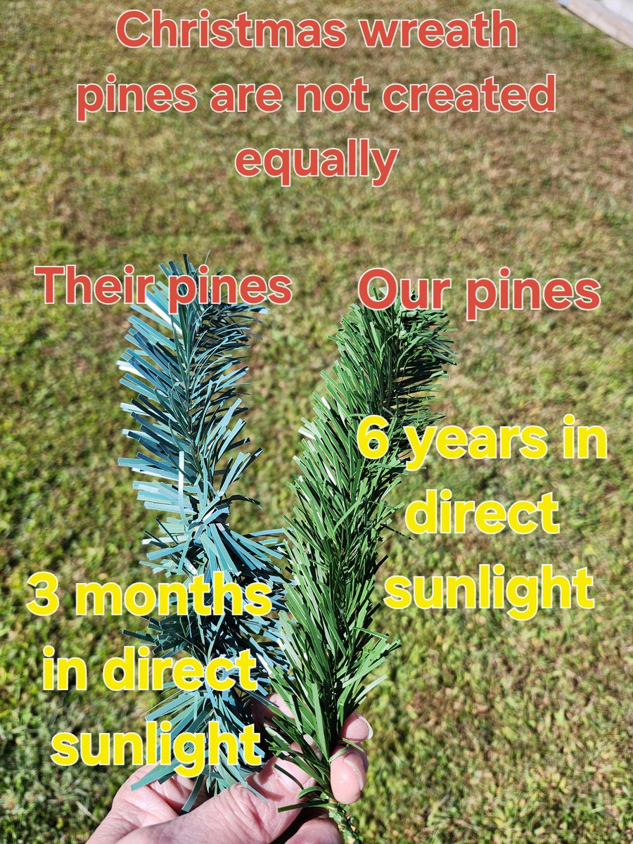 ACWreaths's tweet image. Not all wreaths are created equally! ACWreaths.com: Fade resistant and vibrant.
Theirs: Fade in no time.
You get what you pay for!
&quot;QualityMatters #FadeResistant #ChristmasDecor #Wreaths
#ChristmasWreaths #Holidaydecorating