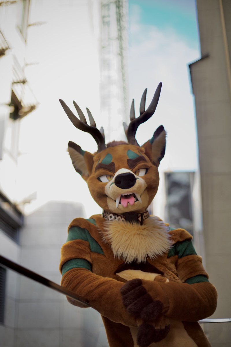 Sol ✨🇬🇧 tweet media