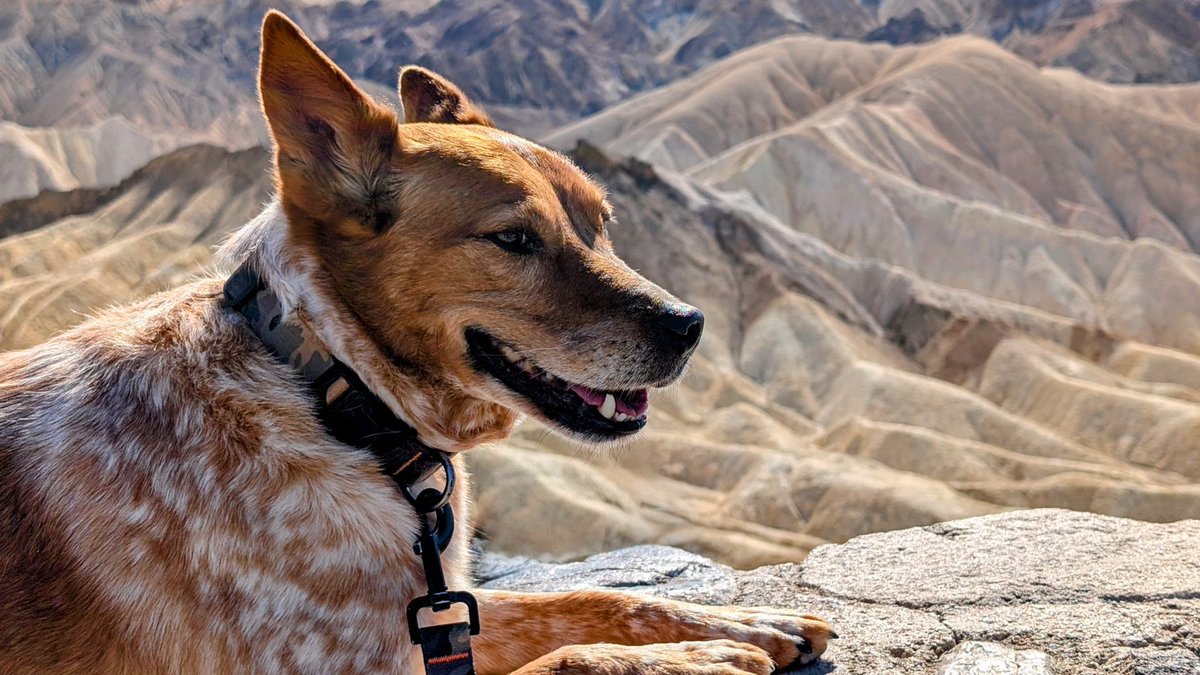 Keith Jackson tweet media