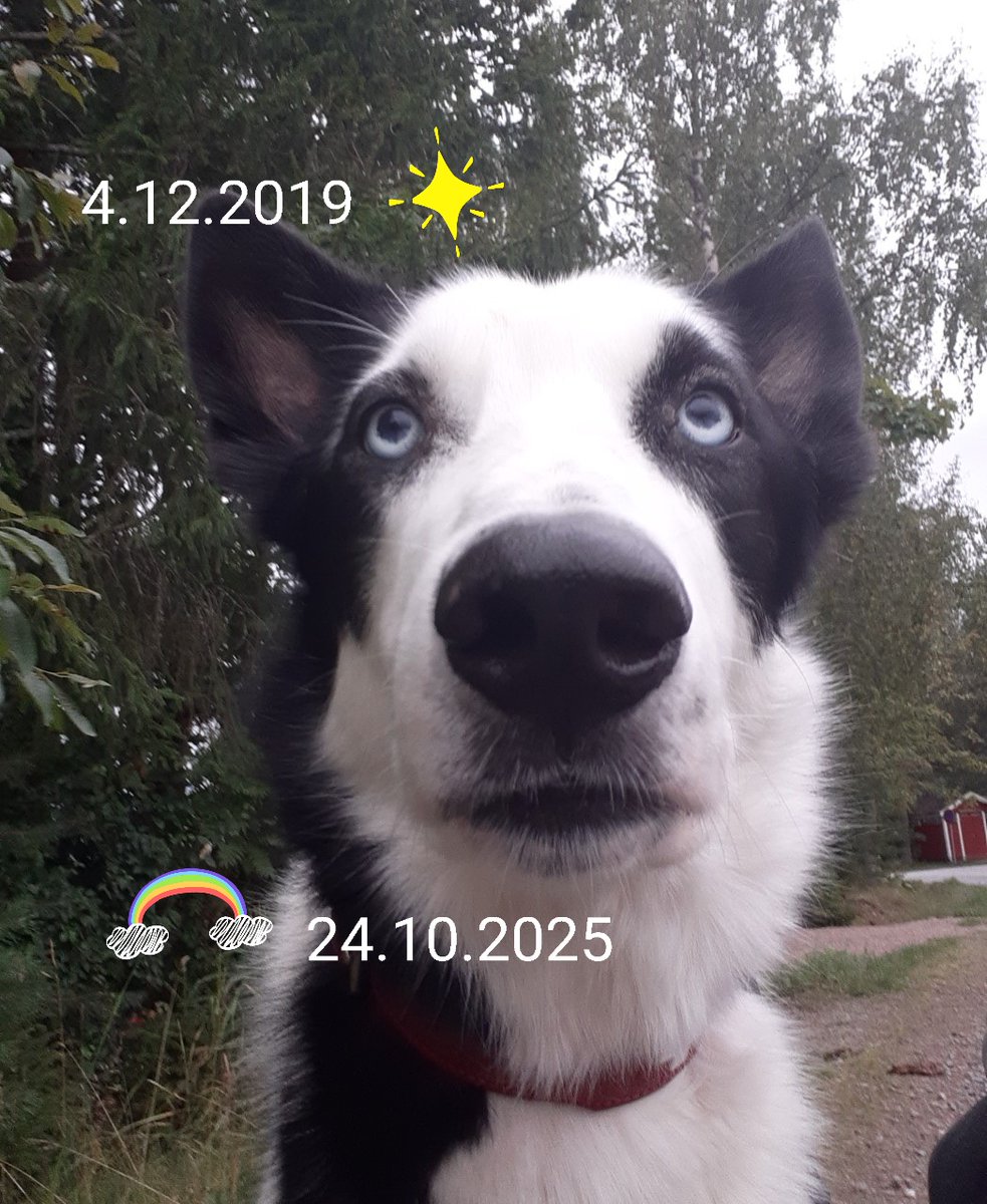 Kirsulan residenssi tweet media