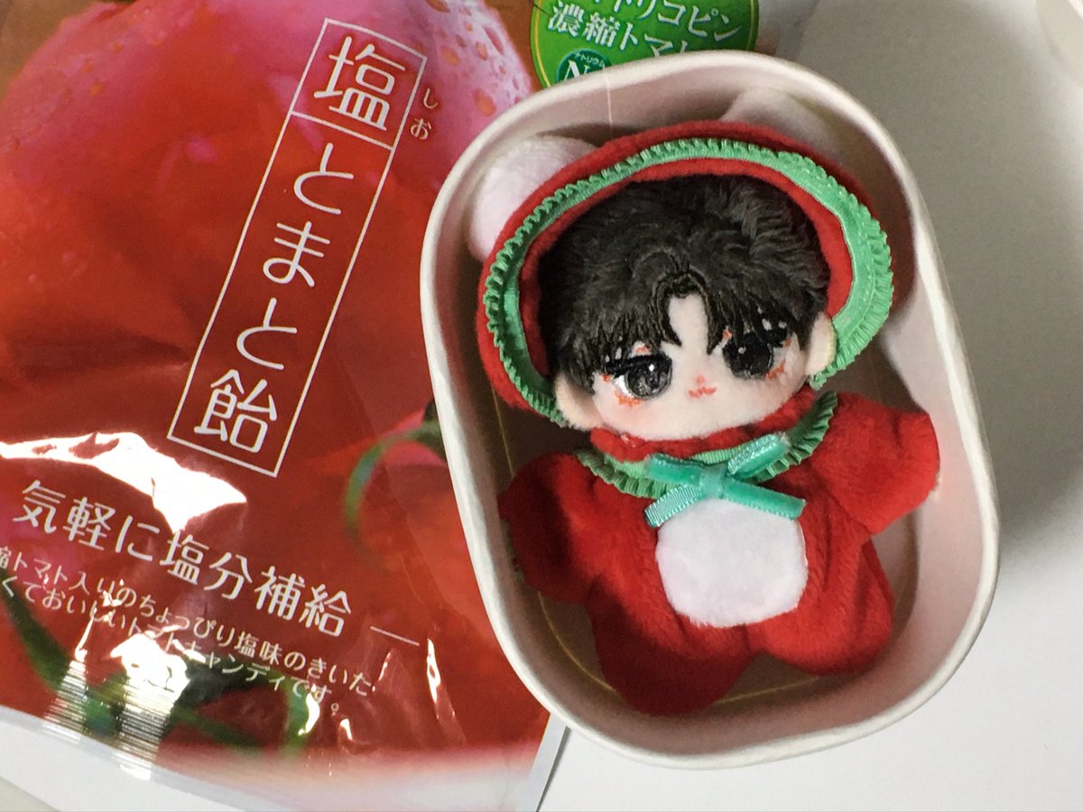 🍅
#햇솜 #쁘솔 #먼지옷장
#이렇게_작은데도_출근을_해야하는구나