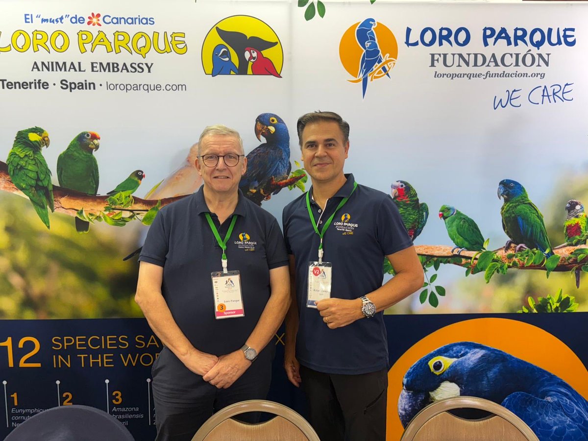 LP__Fundacion's tweet photo. 🇪🇸 Desde Bangkok 🇹🇭, representamos a España en la #IAICThailand. Loro Parque Fundación comparte su experiencia en cría y conservación de loros junto a los principales expertos del mundo. 🦜💚 https://t.co/bsu6UACDrN