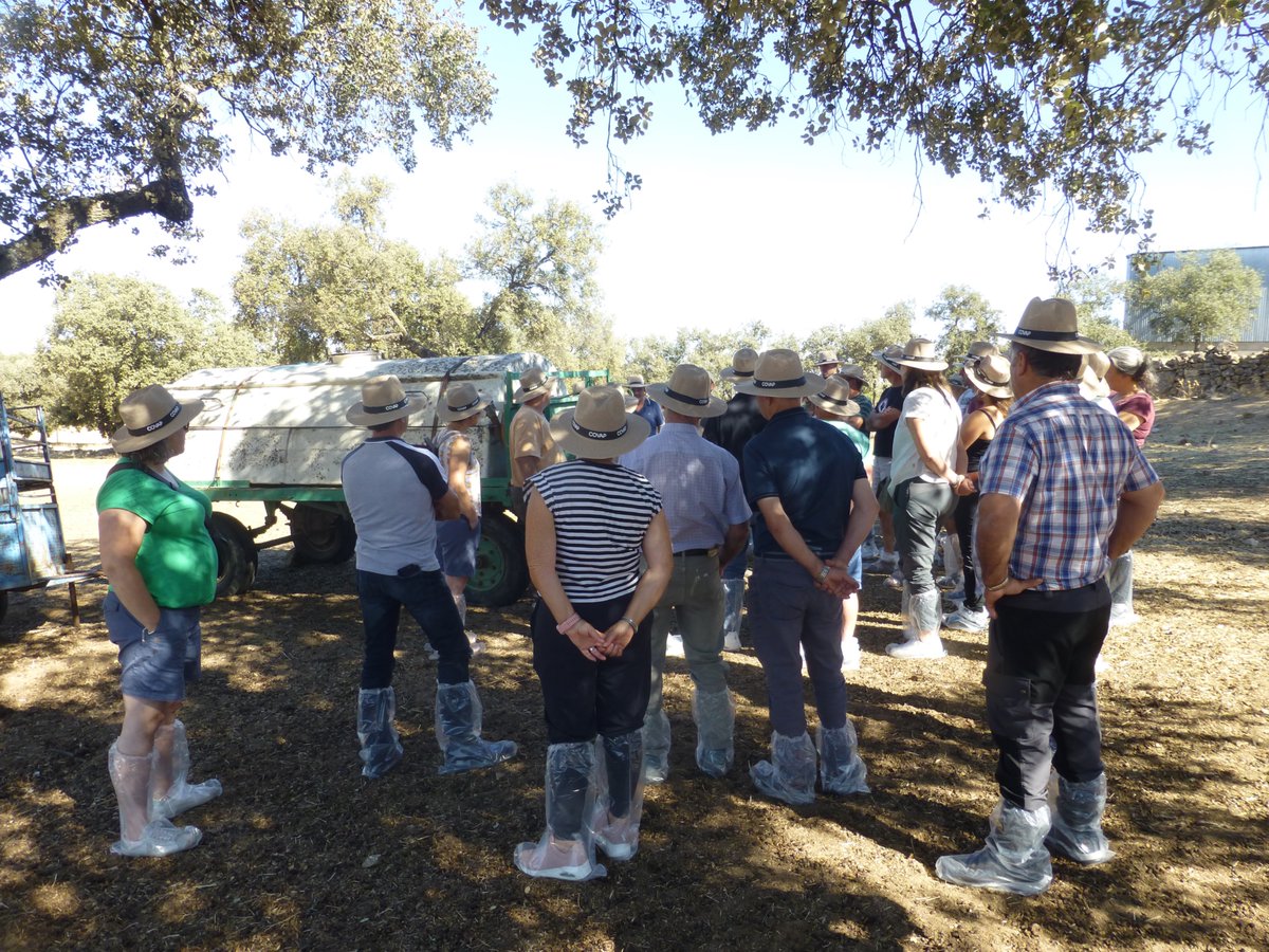 CoovaNavarra's tweet photo. 📣Una representación de #COOVA con socias, socios y personal técnico, junto a ASPINA, ASLANA y ARANA, en viaje organizado por @IntiaSa y con la colaboración de @CRuralNavarra visitamos @Covap

Conocimos su modelo ganadero: vacuno, ovino, ibérico e industria láctea.
#CarneCoova https://t.co/NpSgFDaX9f