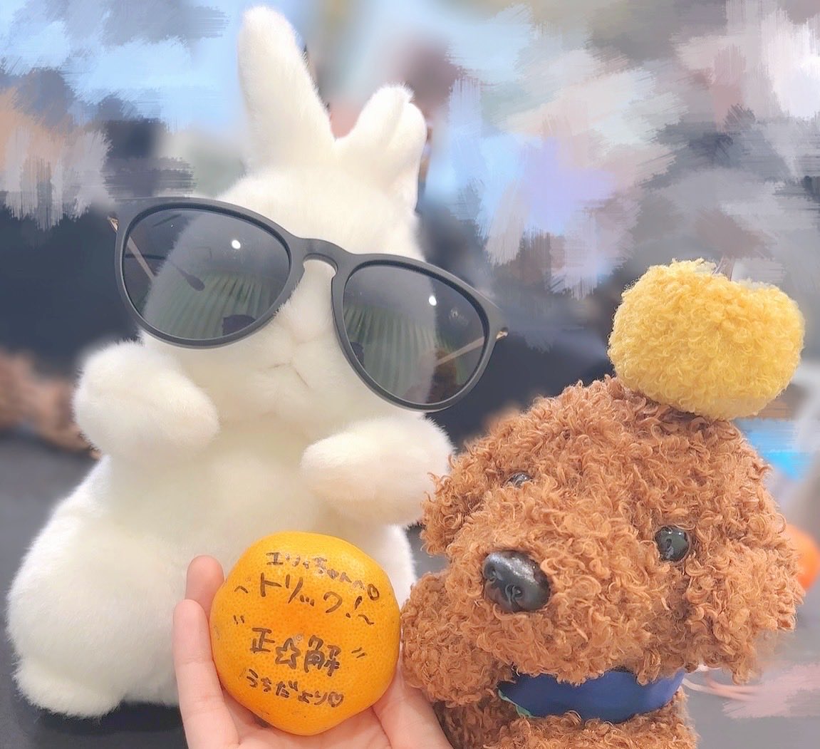 かぼちゃの中にみかんが紛れてる！と思ったら、まさかのうっちーさん