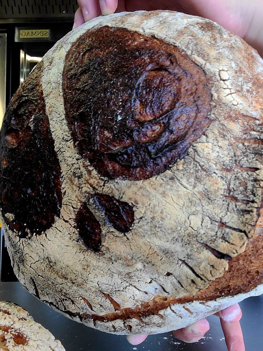 变态面包 tweet media