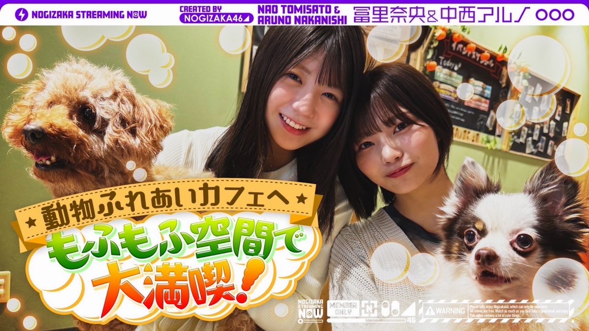 乃木坂配信中」にて、「【かわいい】冨里と中西がたくさんの動物と