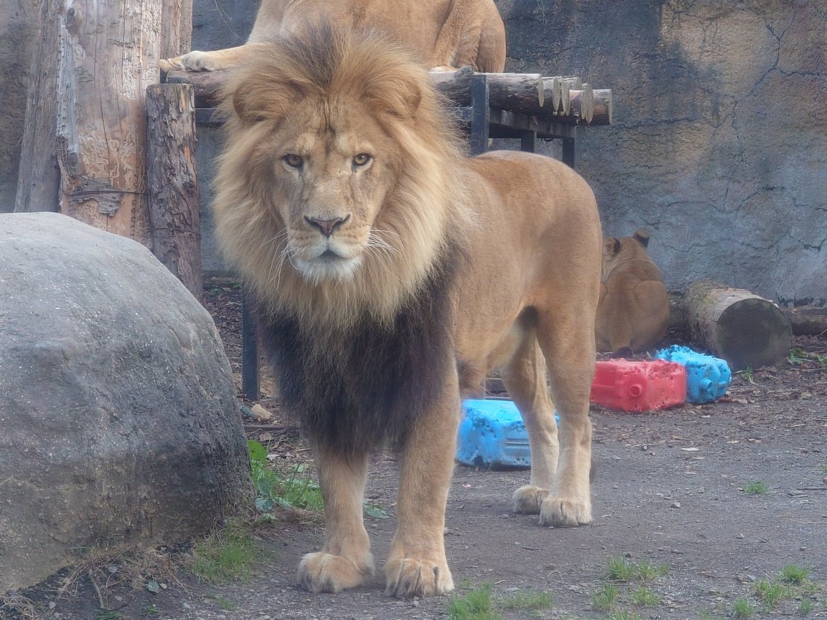 nana24 (@nana247724) / Posts / X